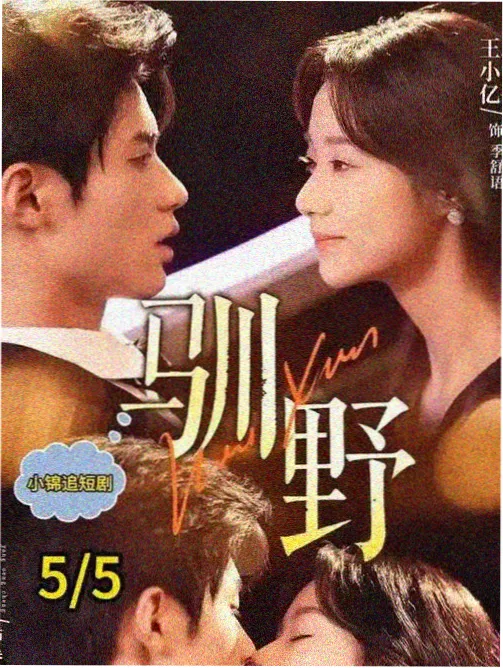 剧集样本十一的图鉴缩略图